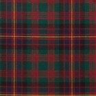 Reiver Light Weight Tartan Fabric - Cochrane Modern